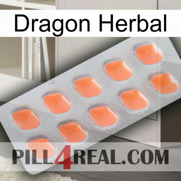 Dragon Herbal 26.jpg